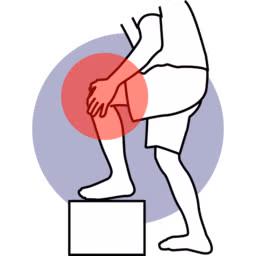 images/joomlart/features/bone.png#joomlaImage://local-images/joomlart/features/bone.png?width=512&height=512