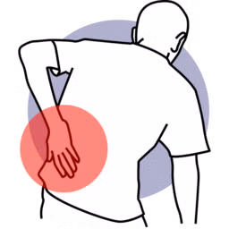 images/joomlart/features/spinal.png#joomlaImage://local-images/joomlart/features/spinal.png?width=512&height=512